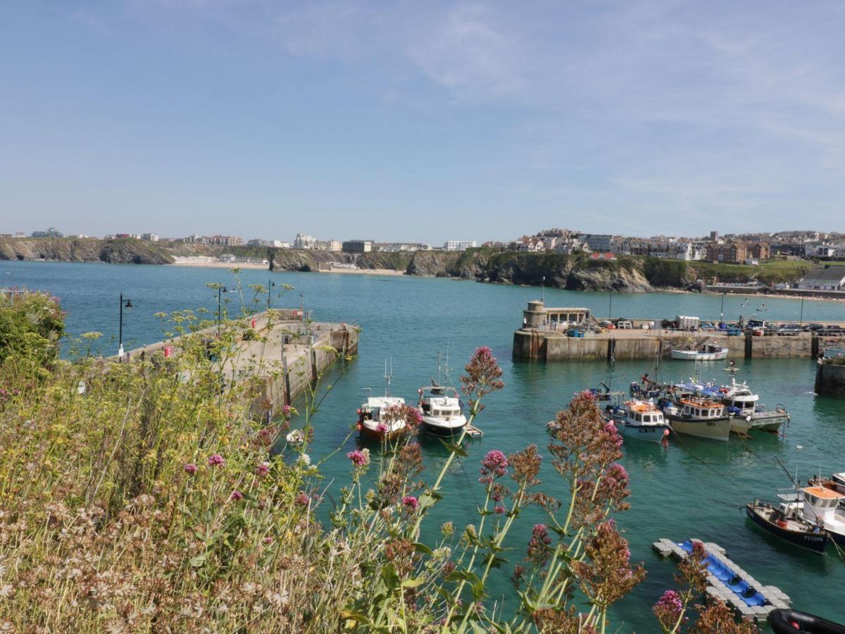 Flat 4 Apartman New Quay Kültér fotó